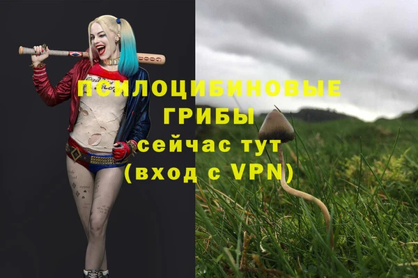 apvp Белоозёрский