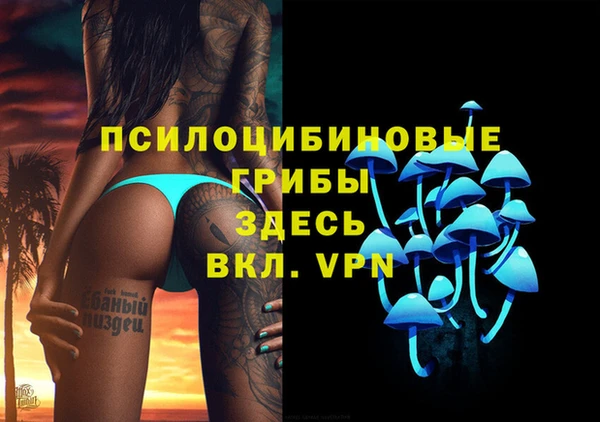 спиды Беломорск