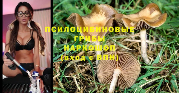 спиды Беломорск